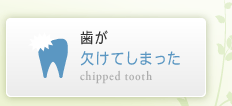 歯が欠けてしまった